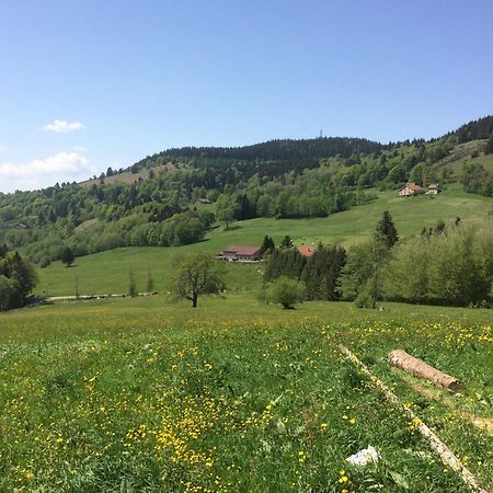 La Ferme De Jean Entre Lacs Et Montagnes Saulxures-sur-Moselotte Exterior foto