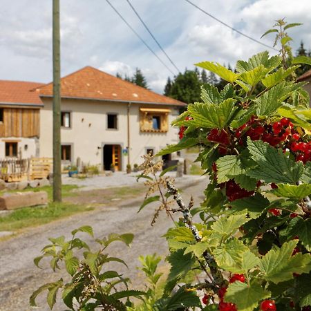 La Ferme De Jean Entre Lacs Et Montagnes Saulxures-sur-Moselotte Exterior foto