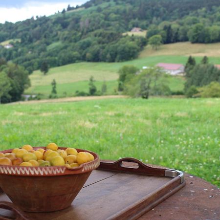 La Ferme De Jean Entre Lacs Et Montagnes Saulxures-sur-Moselotte Exterior foto