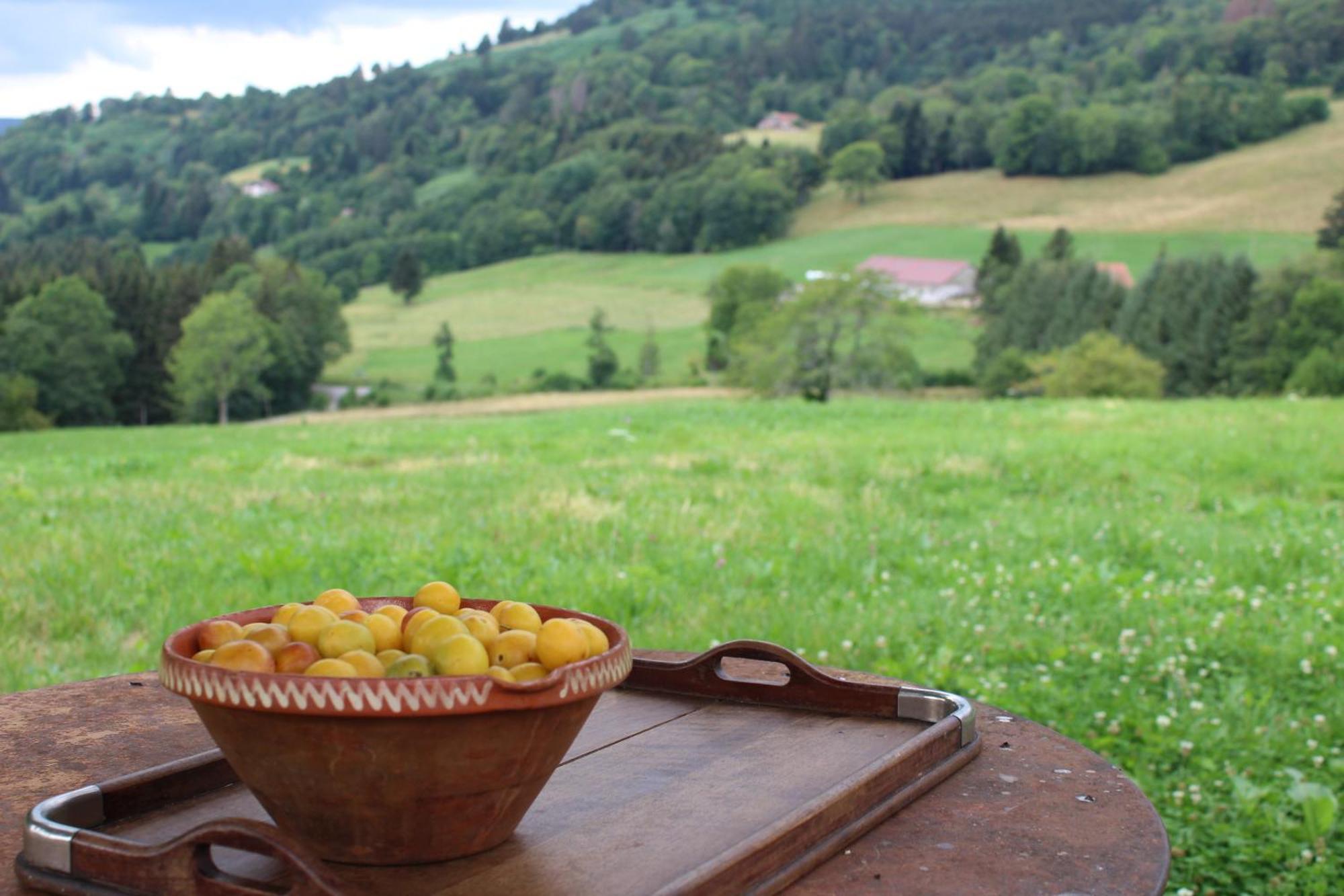 La Ferme De Jean Entre Lacs Et Montagnes Saulxures-sur-Moselotte Exterior foto