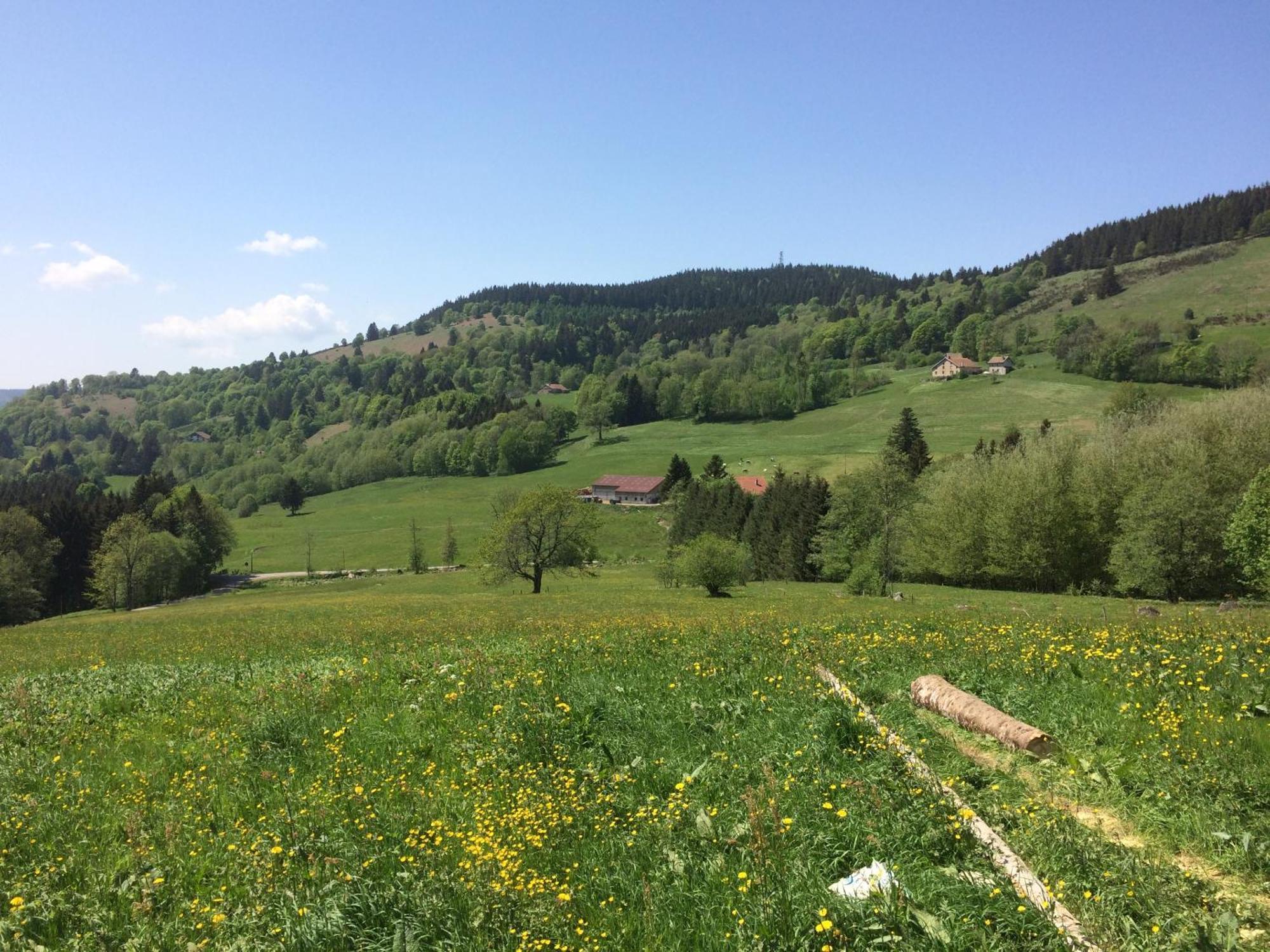 La Ferme De Jean Entre Lacs Et Montagnes Saulxures-sur-Moselotte Exterior foto