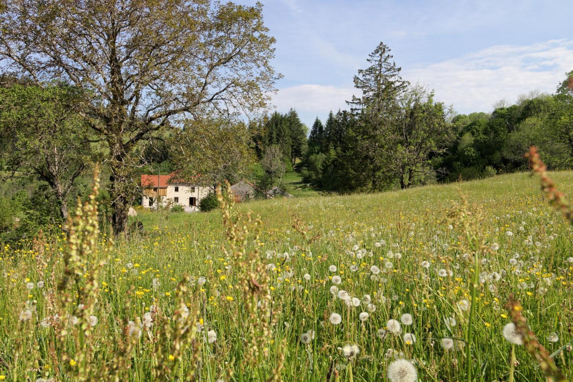 La Ferme De Jean Entre Lacs Et Montagnes Saulxures-sur-Moselotte Exterior foto