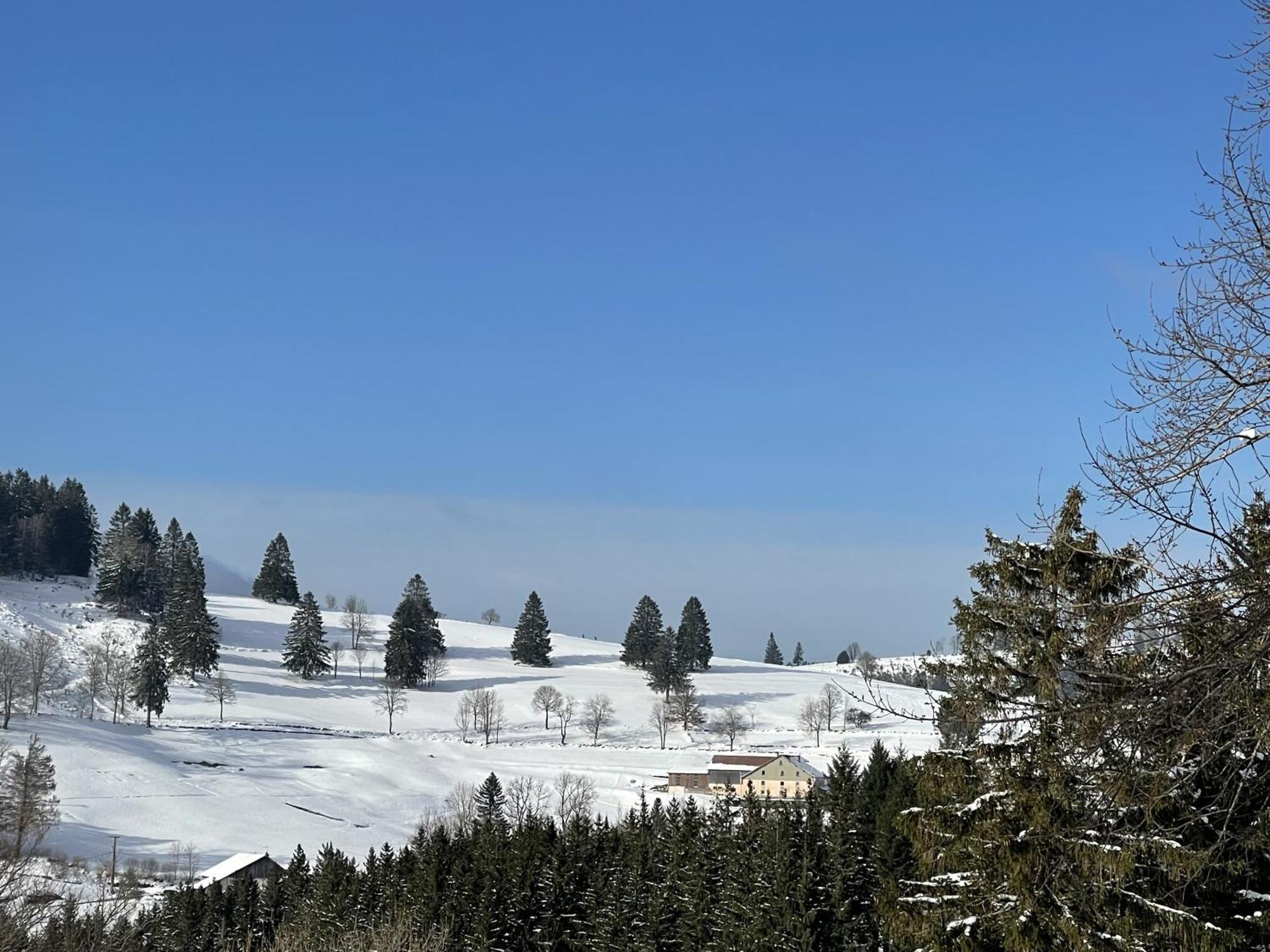 La Ferme De Jean Entre Lacs Et Montagnes Saulxures-sur-Moselotte Exterior foto