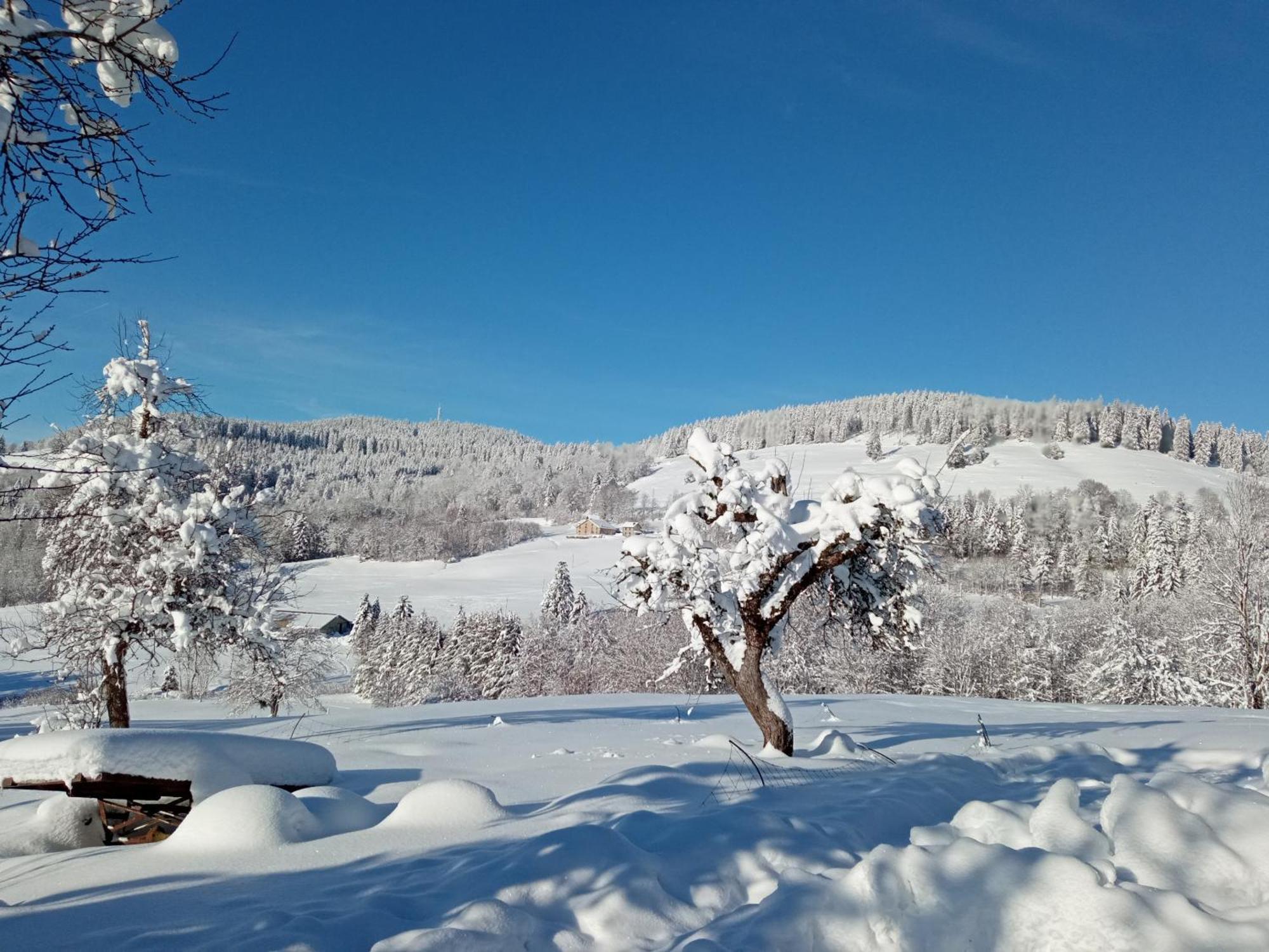 La Ferme De Jean Entre Lacs Et Montagnes Saulxures-sur-Moselotte Exterior foto