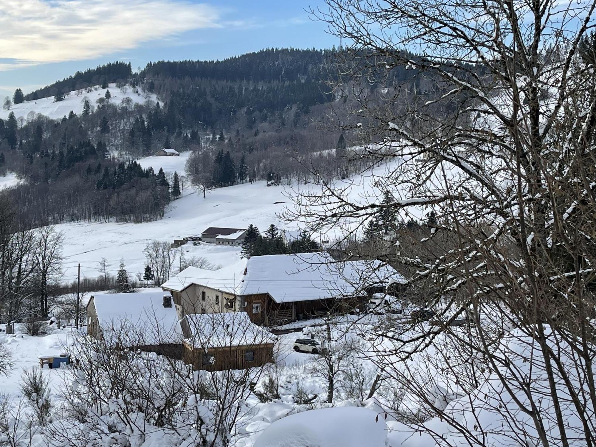 La Ferme De Jean Entre Lacs Et Montagnes Saulxures-sur-Moselotte Exterior foto