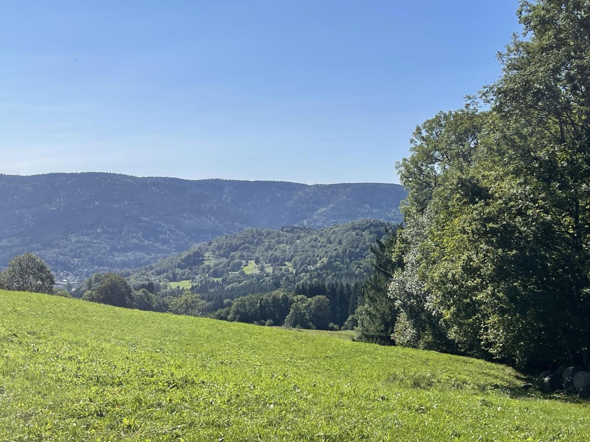 La Ferme De Jean Entre Lacs Et Montagnes Saulxures-sur-Moselotte Exterior foto