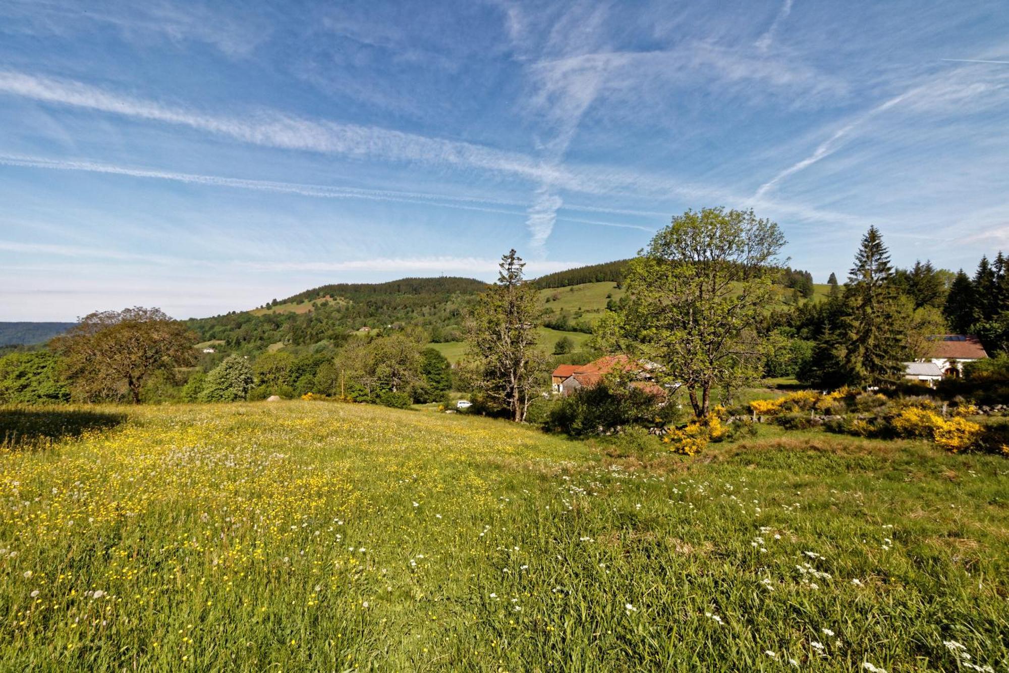 La Ferme De Jean Entre Lacs Et Montagnes Saulxures-sur-Moselotte Exterior foto