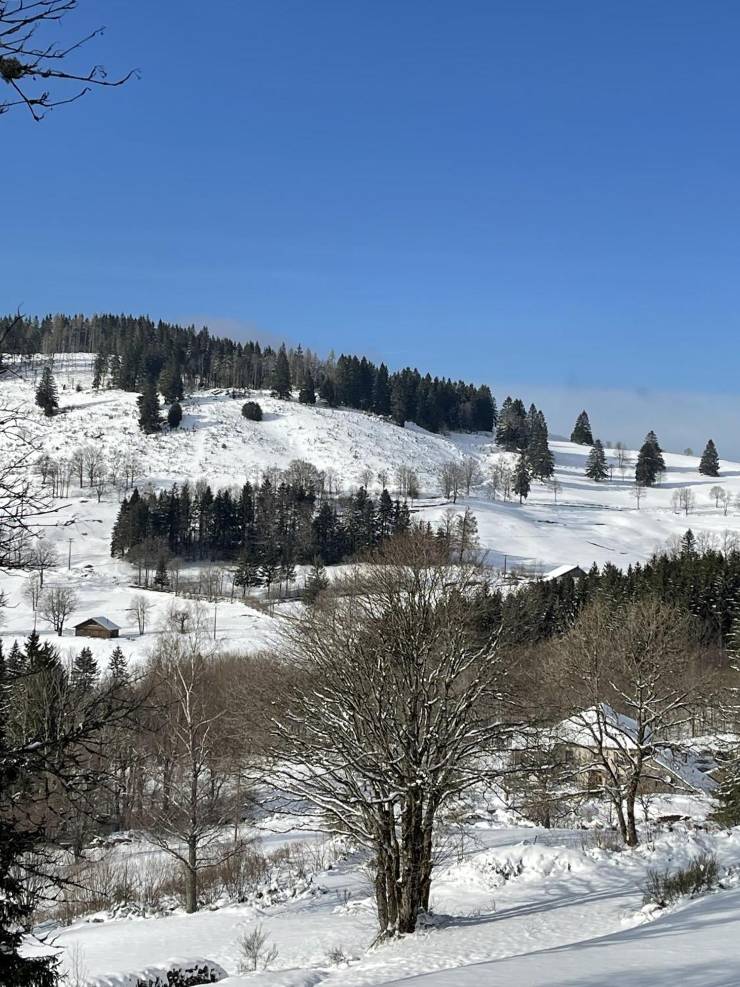 La Ferme De Jean Entre Lacs Et Montagnes Saulxures-sur-Moselotte Exterior foto