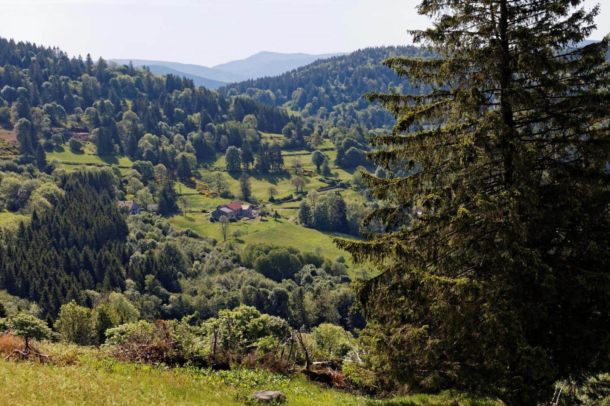 La Ferme De Jean Entre Lacs Et Montagnes Saulxures-sur-Moselotte Exterior foto