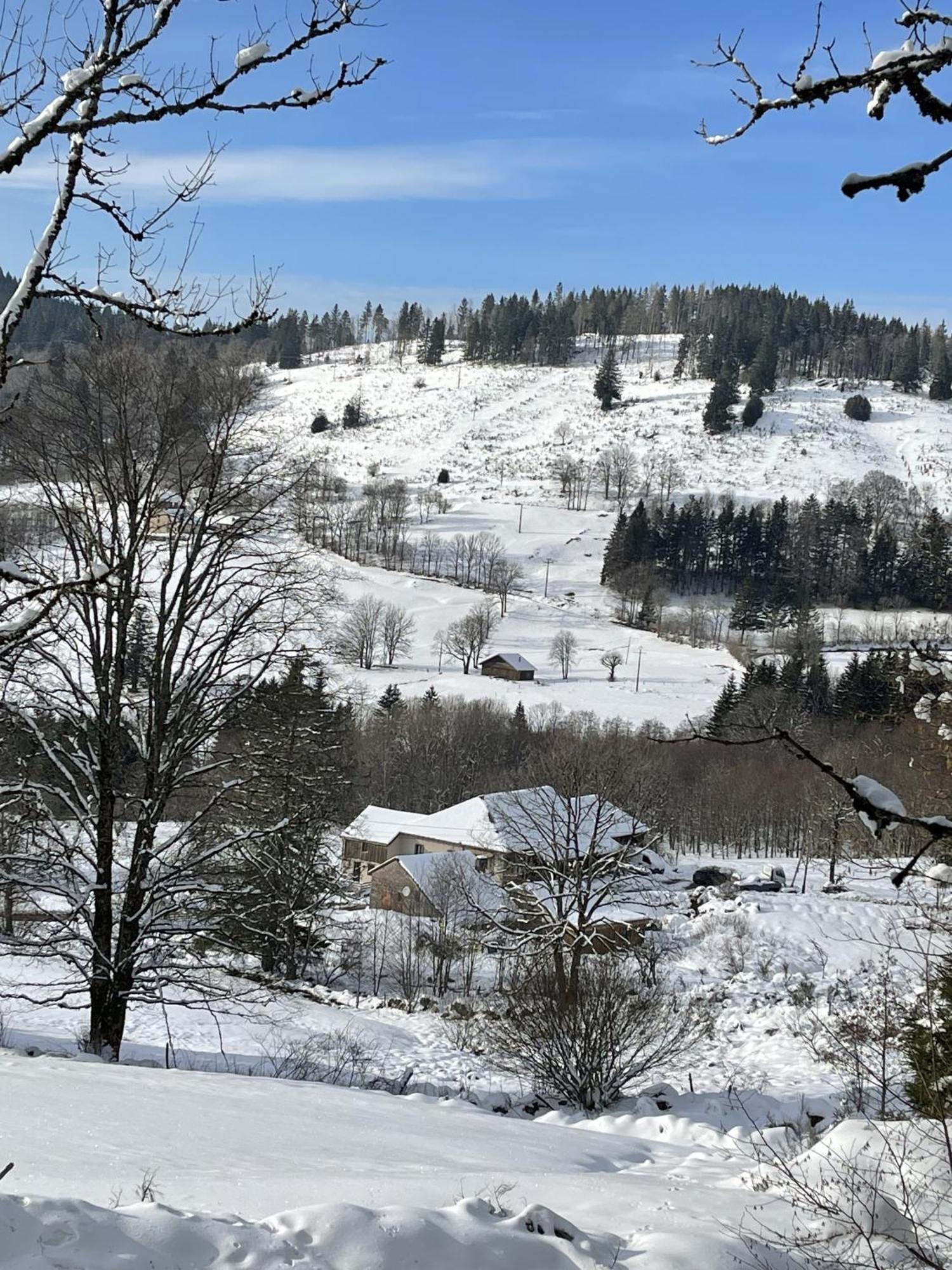 La Ferme De Jean Entre Lacs Et Montagnes Saulxures-sur-Moselotte Exterior foto