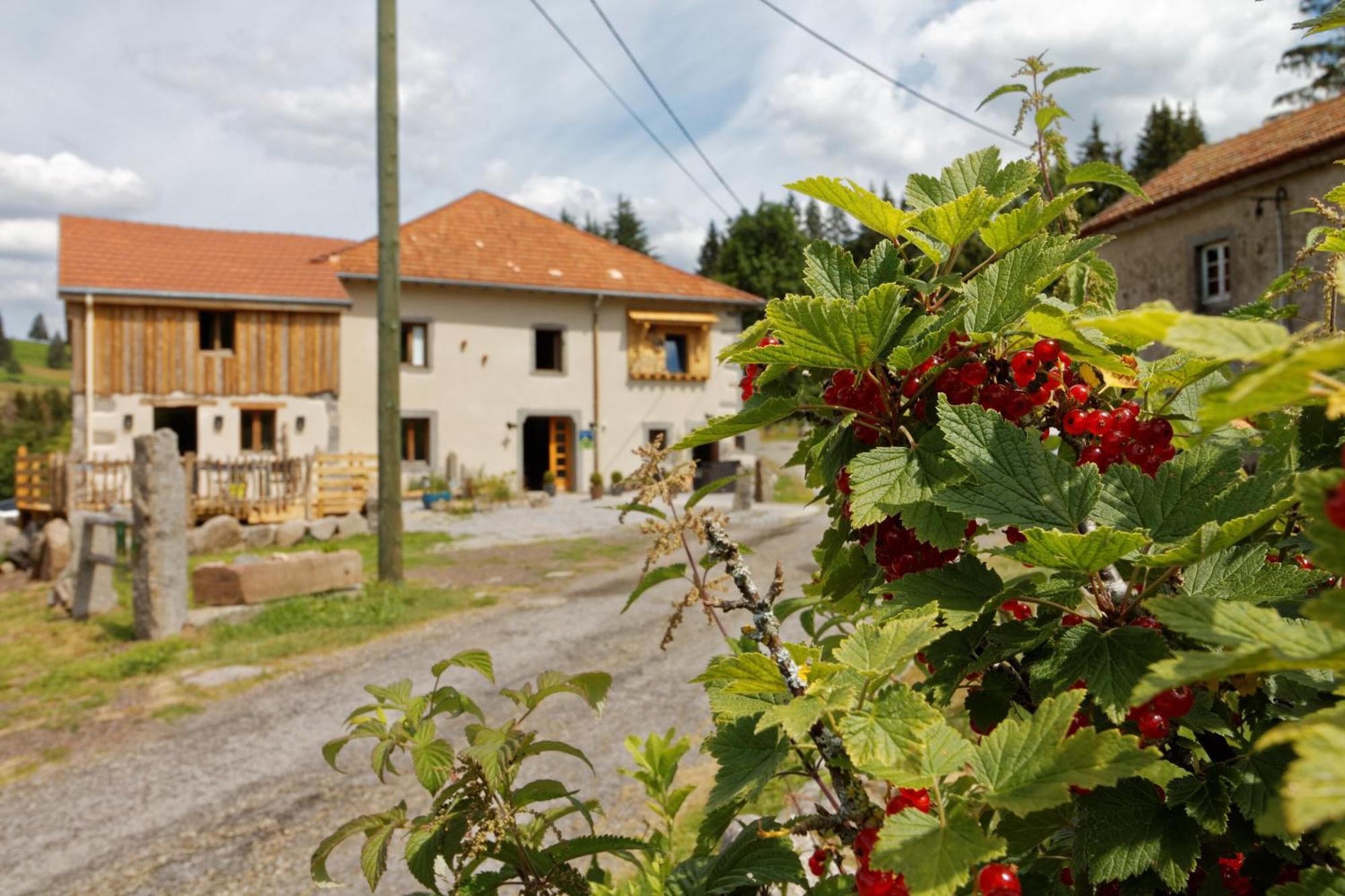 La Ferme De Jean Entre Lacs Et Montagnes Saulxures-sur-Moselotte Exterior foto